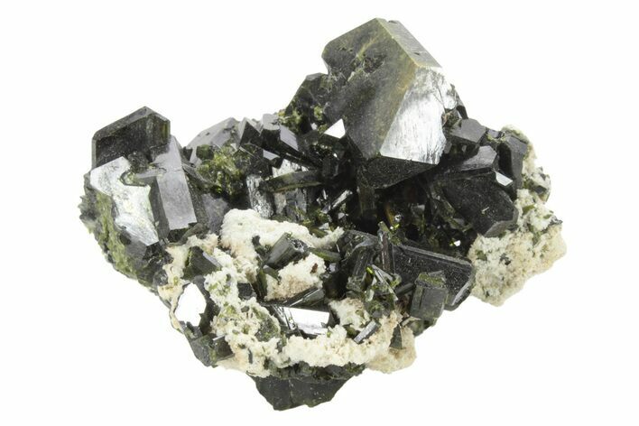 Lustrous Epidote Crystals on Actinolite - Pakistan #213455